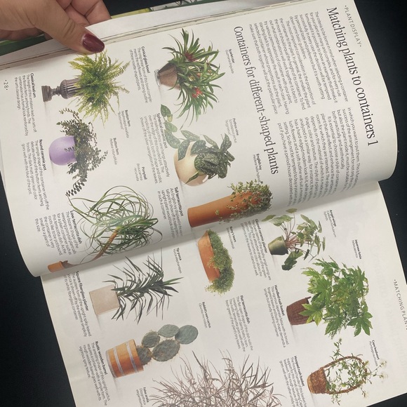 Table Decor 
The Indoor Garden Book Paperback  VGUC - Picture 4 of 4